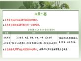 3.8 生態(tài)系統(tǒng)的自我調(diào)節(jié)和生態(tài)安全 復(fù)習(xí)課件 生物蘇教版（2024）七年級(jí)下冊(cè)第三單元