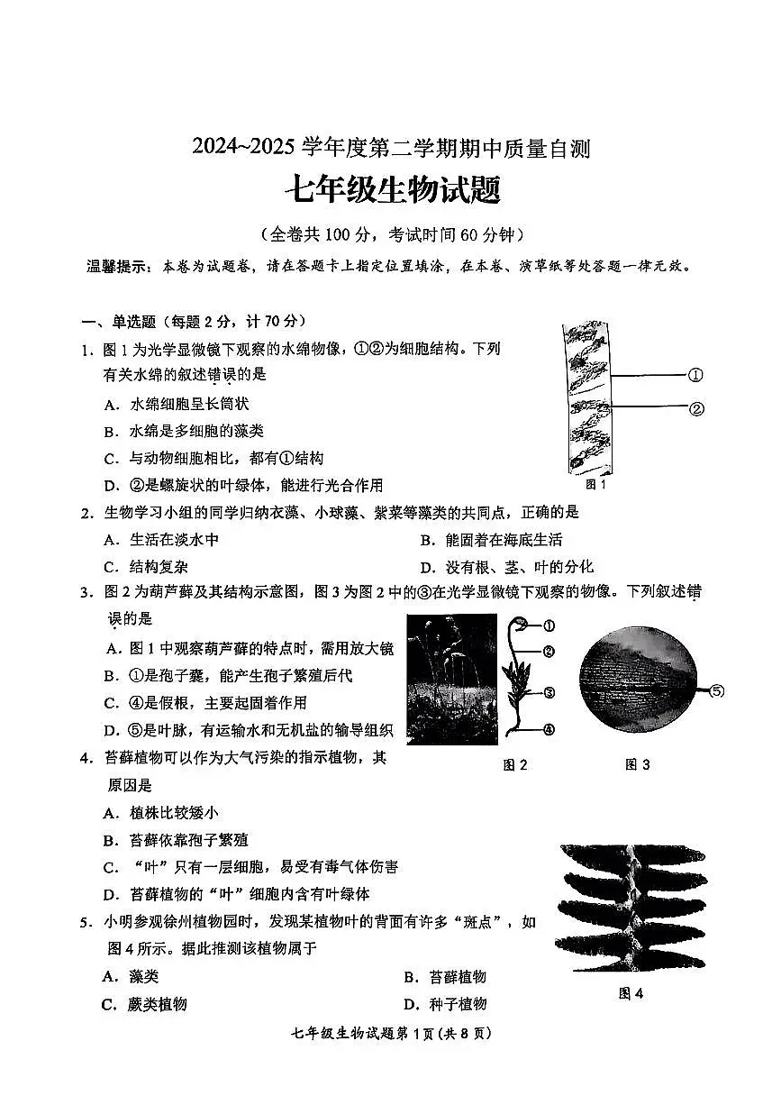 江苏省徐州市铜山区2024-2025学年度第二学期期中质量自测七年级生物试卷第1页