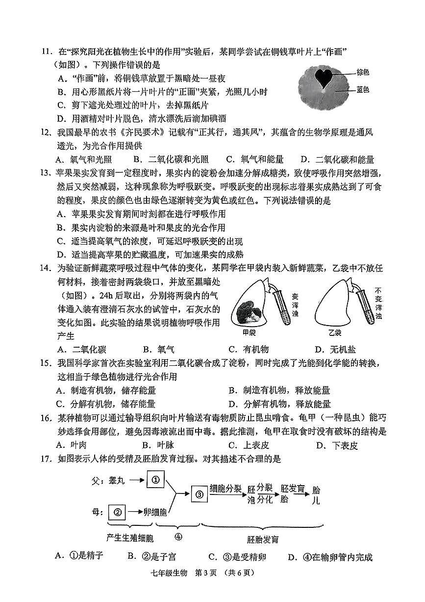山西省晋中市平遥县2024-2025学年七年级下学期4月期中生物试题第3页