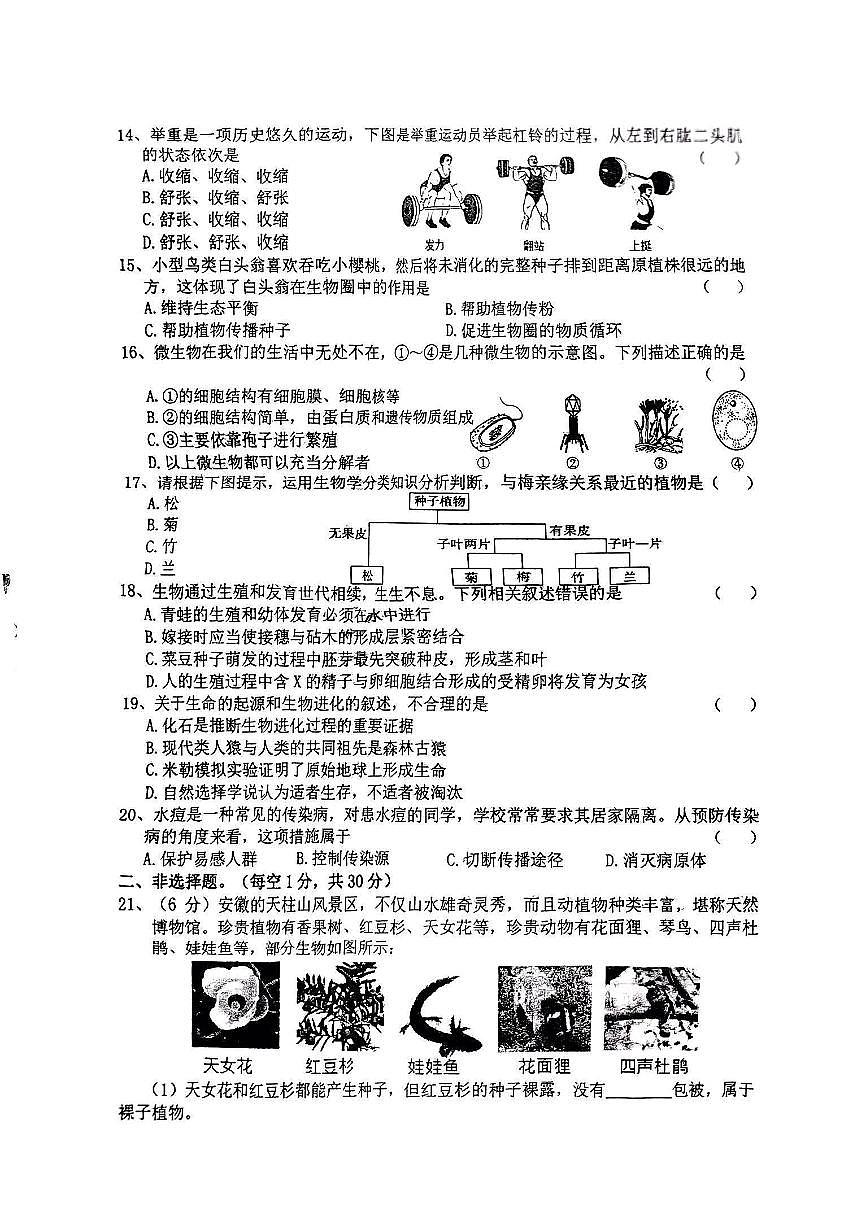河南省驻马店市汝南县部分学校2024-2025学年八年级下学期4月期中生物试题第2页