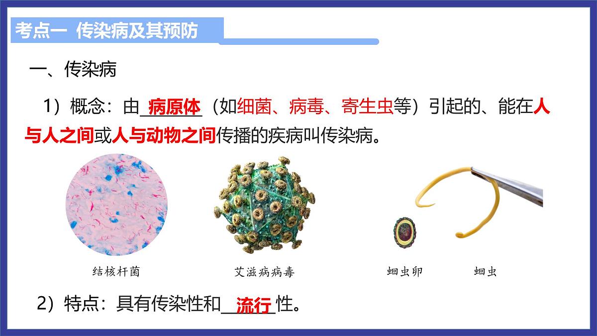 专题复习三 传染病和免疫（复习课件）2025学年七年级生物下学期期中考点大串讲（鲁科版五四学制）第5页