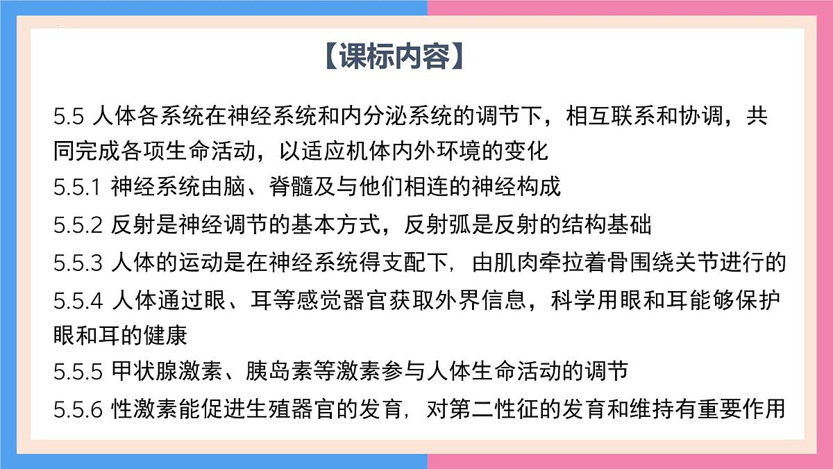 专题复习一 人体生命活动的调节（复习课件）2025学年七年级生物下学期期中考点大串讲（鲁科版五四学制）第4页