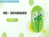 專題一 藻類與植物的類群 2025學年六年級生物下學期期中考點大串講（魯科版五四學制2024）課件