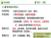 專題一 藻類與植物的類群 2025學年六年級生物下學期期中考點大串講（魯科版五四學制2024）課件