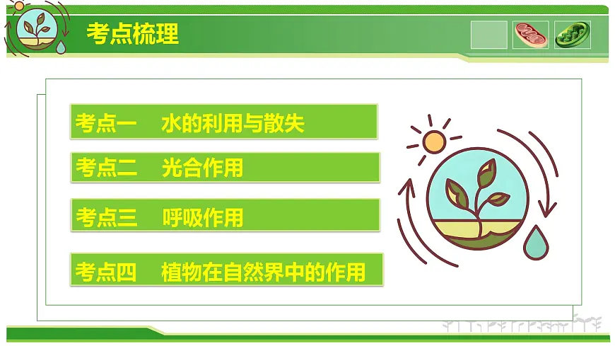 专题02 植物体内的物质与能量变化 2025学年七年级生物下学期期中考点大串讲（人教版2024）课件第2页