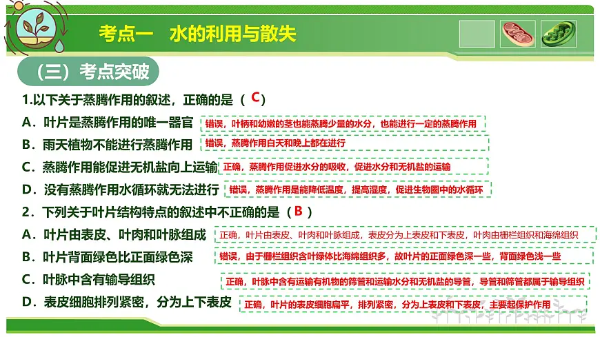 专题02 植物体内的物质与能量变化 2025学年七年级生物下学期期中考点大串讲（人教版2024）课件第7页