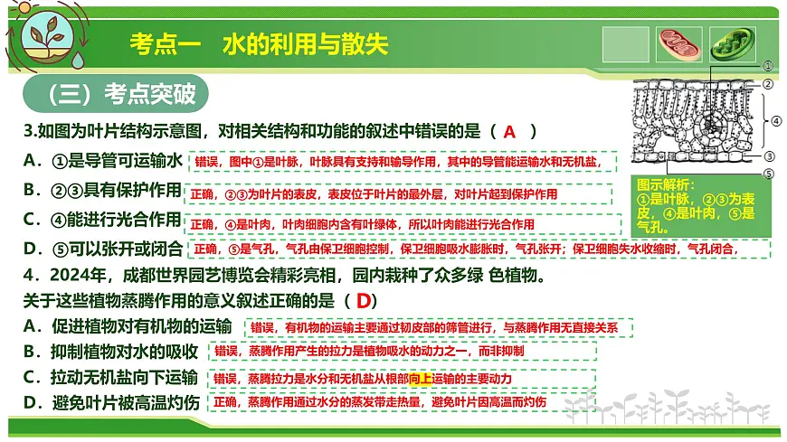 专题02 植物体内的物质与能量变化 2025学年七年级生物下学期期中考点大串讲（人教版2024）课件第8页