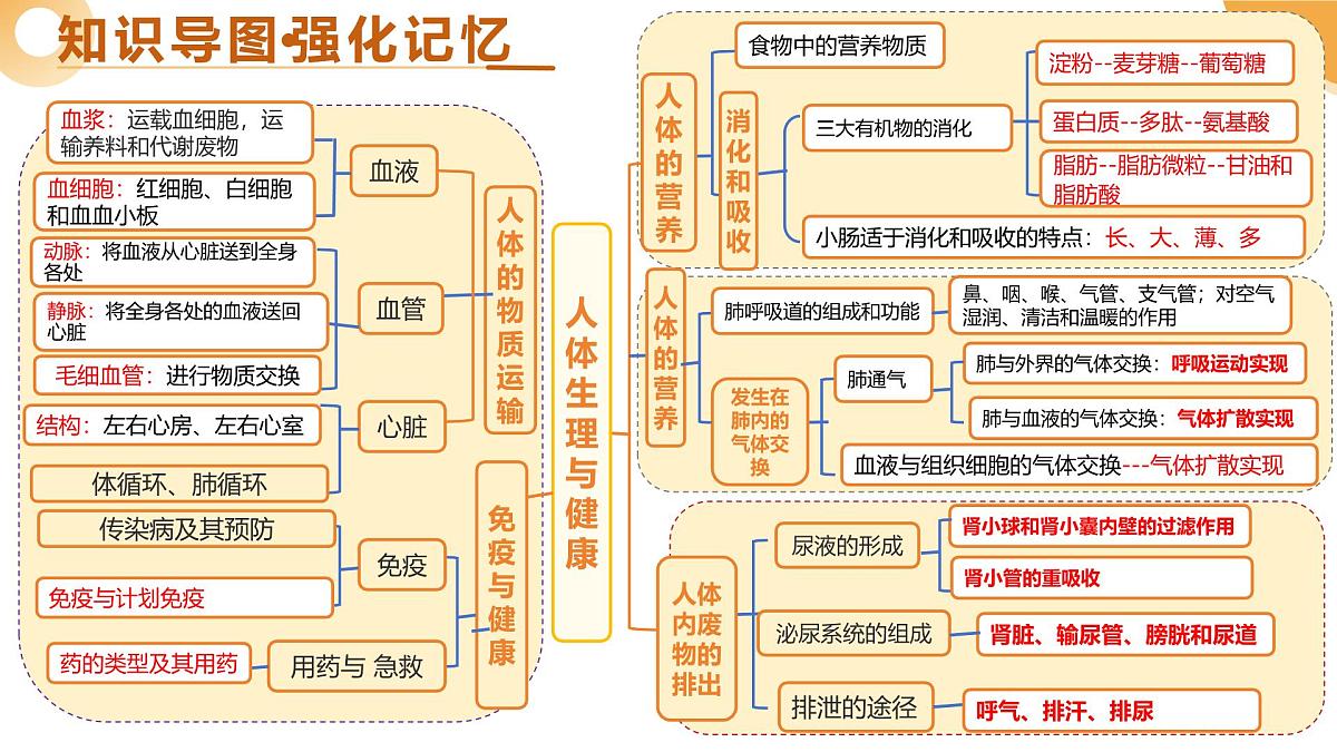 主题五 人体生理与健康（精讲课件）2025年中考生物二轮复习讲练测（全国通用）第4页