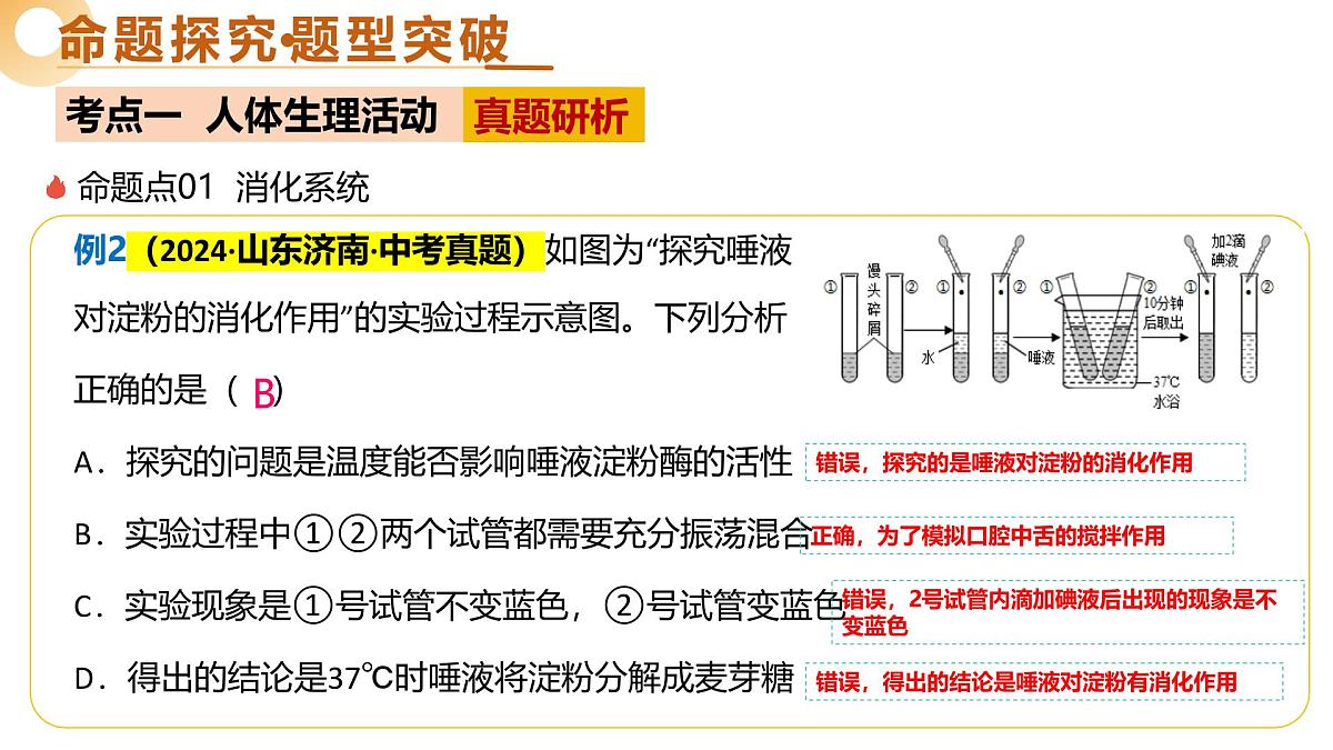 主题五 人体生理与健康（精讲课件）2025年中考生物二轮复习讲练测（全国通用）第7页