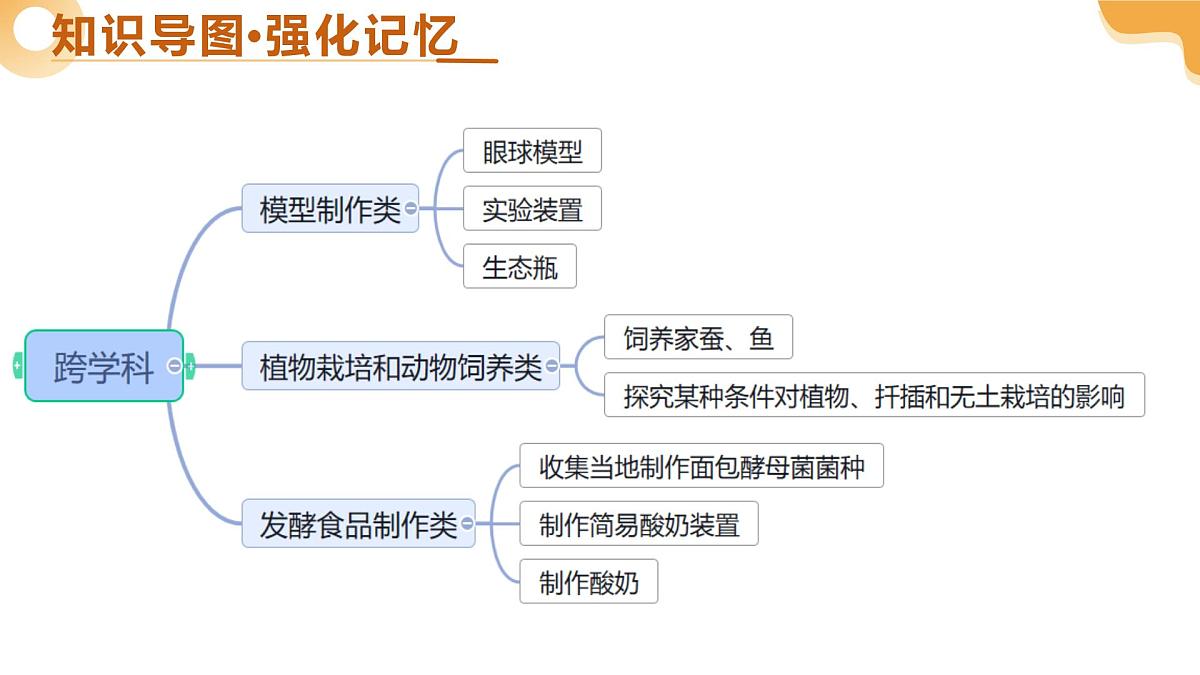 主题七 跨学科实践（二轮突破课件）2025年中考生物二轮复习讲练测（湖南专用）第5页