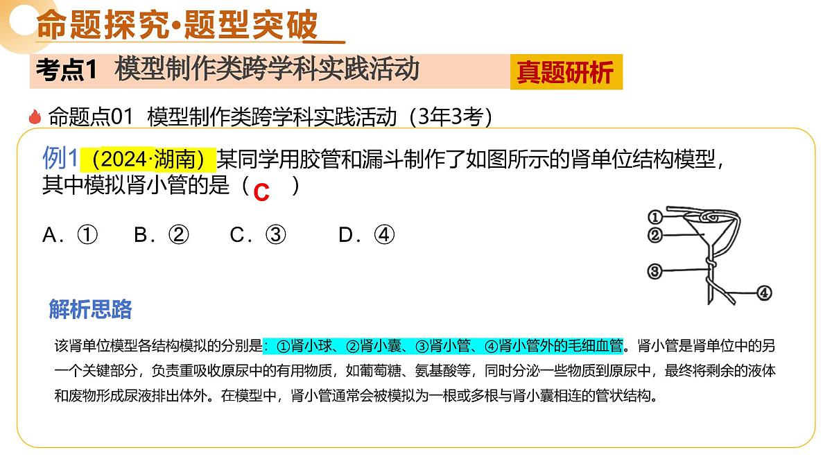 主题七 跨学科实践（二轮突破课件）2025年中考生物二轮复习讲练测（湖南专用）第6页