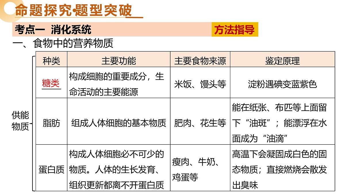 主题五 人体生理与健康（一）（二轮突破课件）2025年中考生物二轮复习讲练测（江苏专用）课件第8页