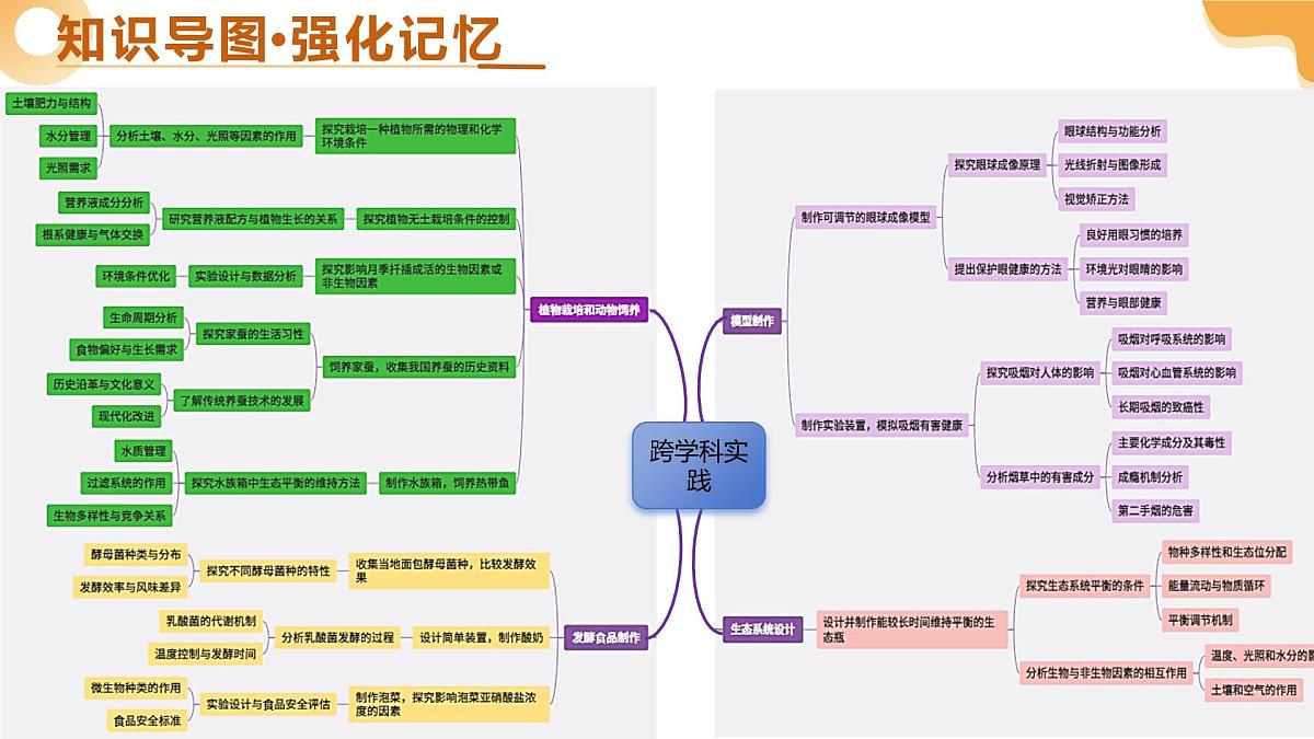 主题七 跨学科实践（二轮突破课件）2025年中考生物二轮复习讲练测（广东专用）第4页