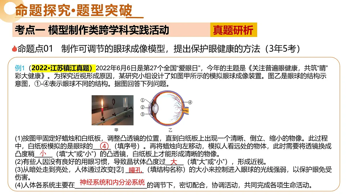 主题七 跨学科实践（二轮突破课件）2025年中考生物二轮复习讲练测（广东专用）第6页
