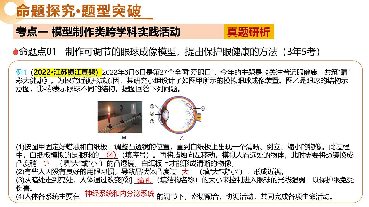 主题七 跨学科实践（二轮突破课件）2025年中考生物二轮复习讲练测（广东专用）第6页