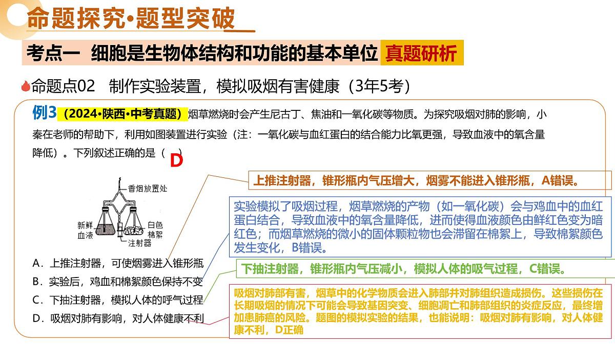 主题七 跨学科实践（二轮突破课件）2025年中考生物二轮复习讲练测（广东专用）第8页