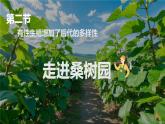 4.1.2 有性生殖增加了后代的多樣性 2025學(xué)年七年級(jí)下冊(cè)生物課件（濟(jì)南版2024）