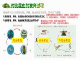 4.1.2 有性生殖增加了后代的多樣性 2025學(xué)年七年級(jí)下冊(cè)生物課件（濟(jì)南版2024）