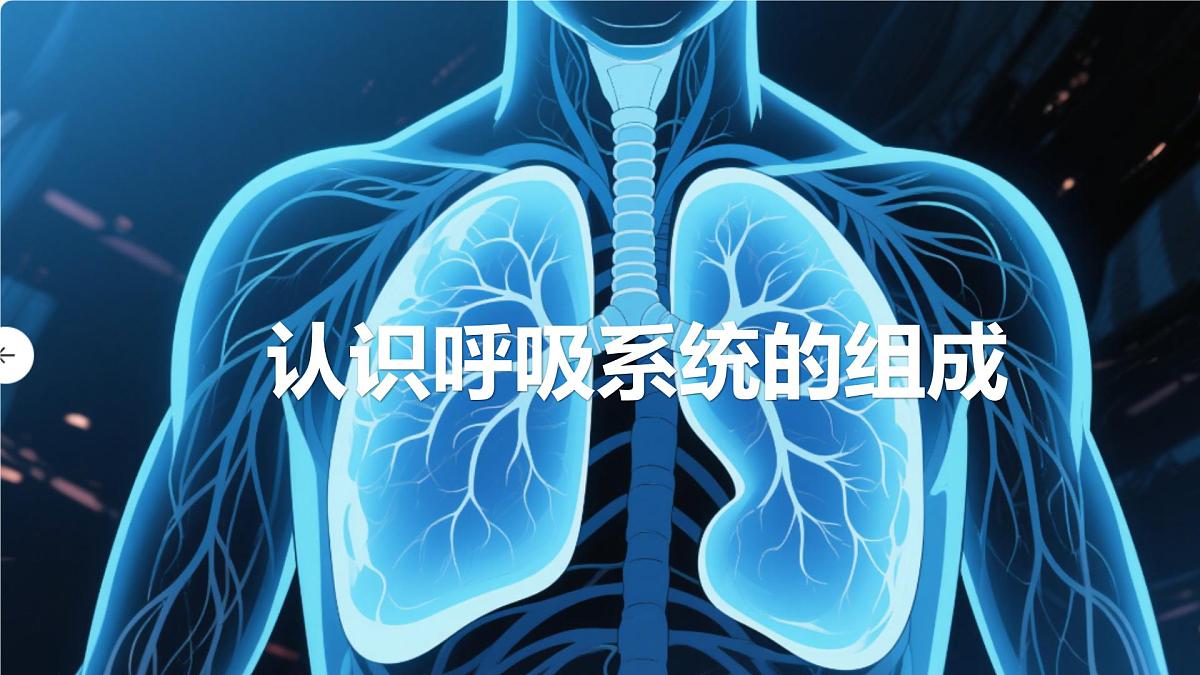 4.3.1 呼吸道对空气的处理 课件-2024-2025学年人教版生物七年级下册第4页