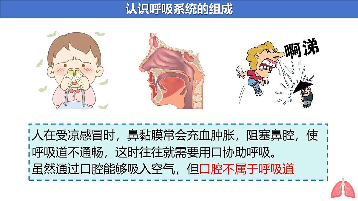 4.3.1 呼吸道对空气的处理 课件-2024-2025学年人教版生物七年级下册第6页