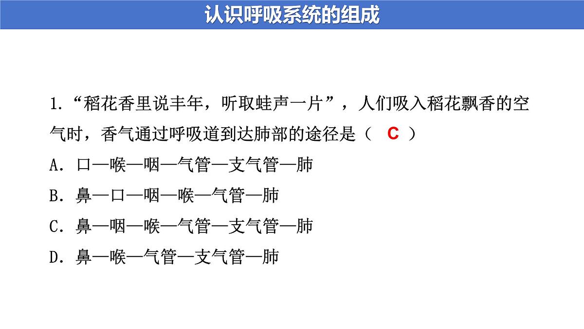 4.3.1 呼吸道对空气的处理 课件-2024-2025学年人教版生物七年级下册第7页