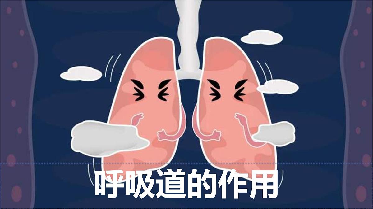 4.3.1 呼吸道对空气的处理 课件-2024-2025学年人教版生物七年级下册第8页