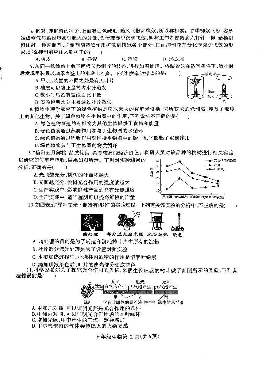 河南济源人教版2024年—2025年初中生物七年级下学期期中生物试卷第2页