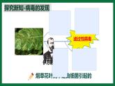 3.3.4 病毒（課件）-2024-2025學(xué)年六年級生物下冊（魯科版五四學(xué)制2024）