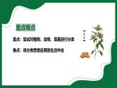 3.4.1 嘗試對生物分類（課件）-2024-2025學年六年級生物下冊（魯科版五四學制2024）