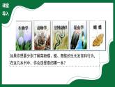 3.4.1 嘗試對生物分類（課件）-2024-2025學年六年級生物下冊（魯科版五四學制2024）