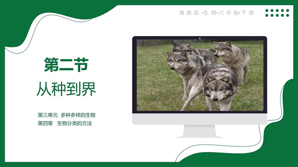 3.4.2 从种到界（课件）-2024-2025学年六年级生物下册（鲁科版五四学制2024）第1页