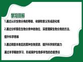 3.4.2 從種到界（課件）-2024-2025學年六年級生物下冊（魯科版五四學制2024）