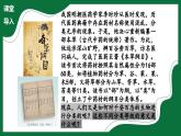 3.4.2 從種到界（課件）-2024-2025學年六年級生物下冊（魯科版五四學制2024）
