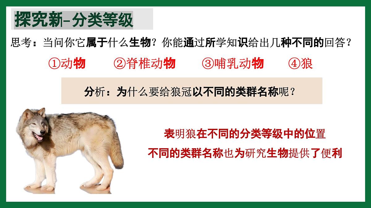 3.4.2 从种到界（课件）-2024-2025学年六年级生物下册（鲁科版五四学制2024）第5页