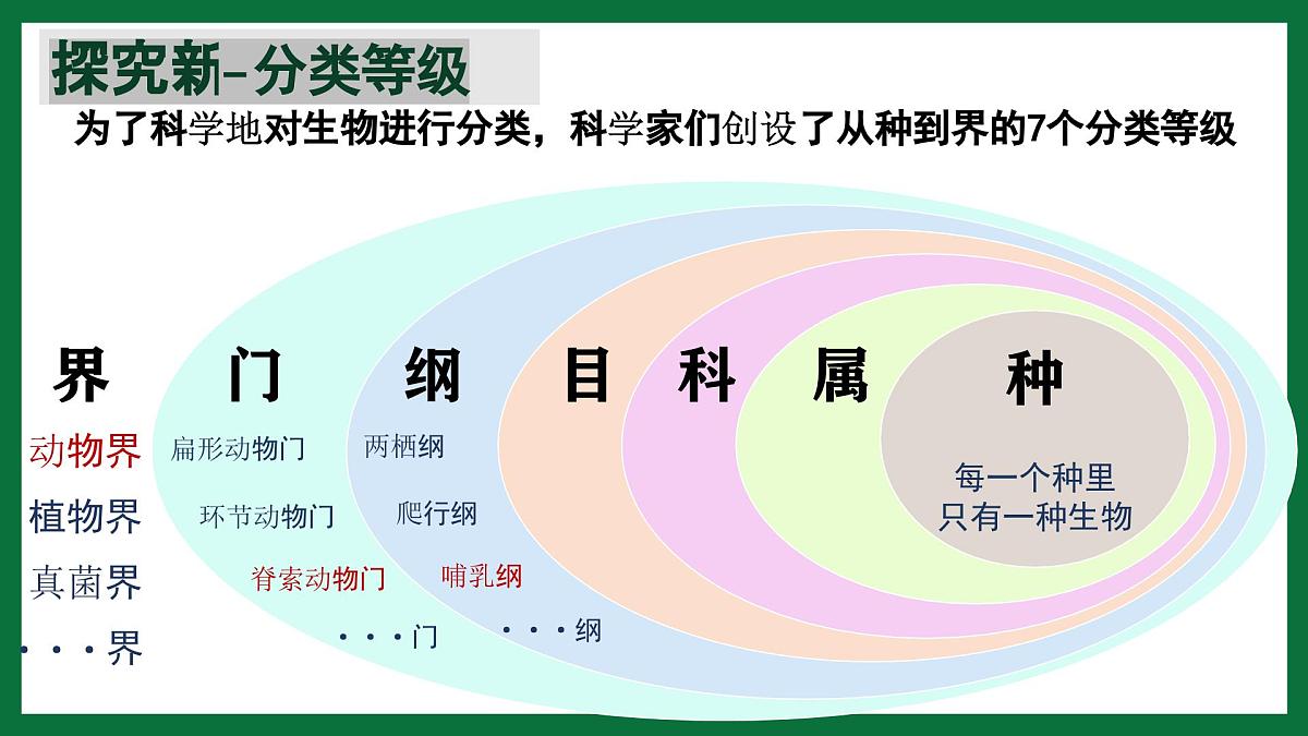 3.4.2 从种到界（课件）-2024-2025学年六年级生物下册（鲁科版五四学制2024）第6页