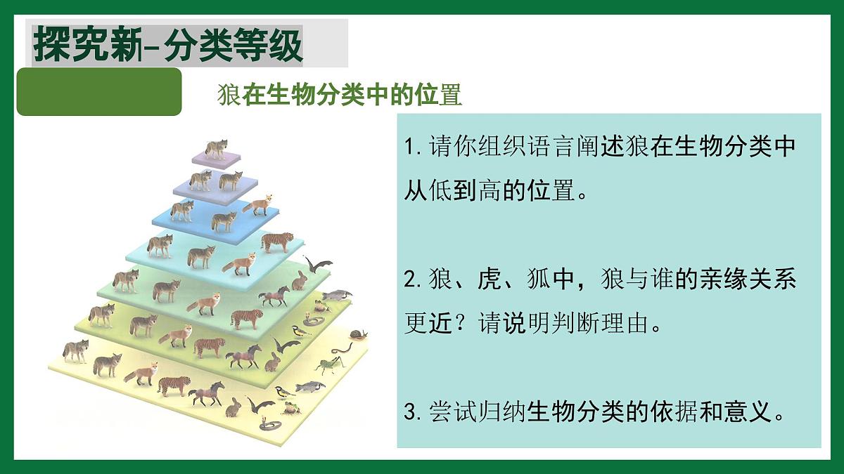 3.4.2 从种到界（课件）-2024-2025学年六年级生物下册（鲁科版五四学制2024）第7页