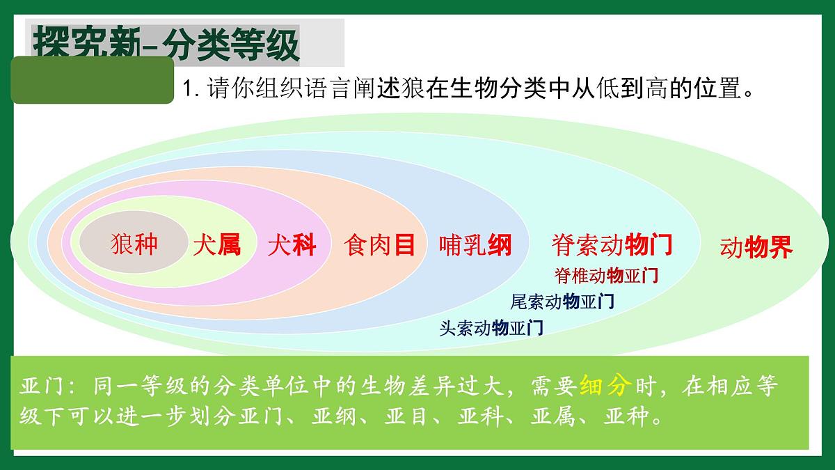 3.4.2 从种到界（课件）-2024-2025学年六年级生物下册（鲁科版五四学制2024）第8页