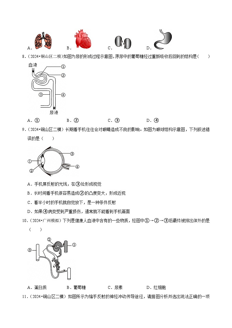 2025年中考生物三轮复习：人体生理与健康（二） 考点刷题练习题（含答案解析）第2页