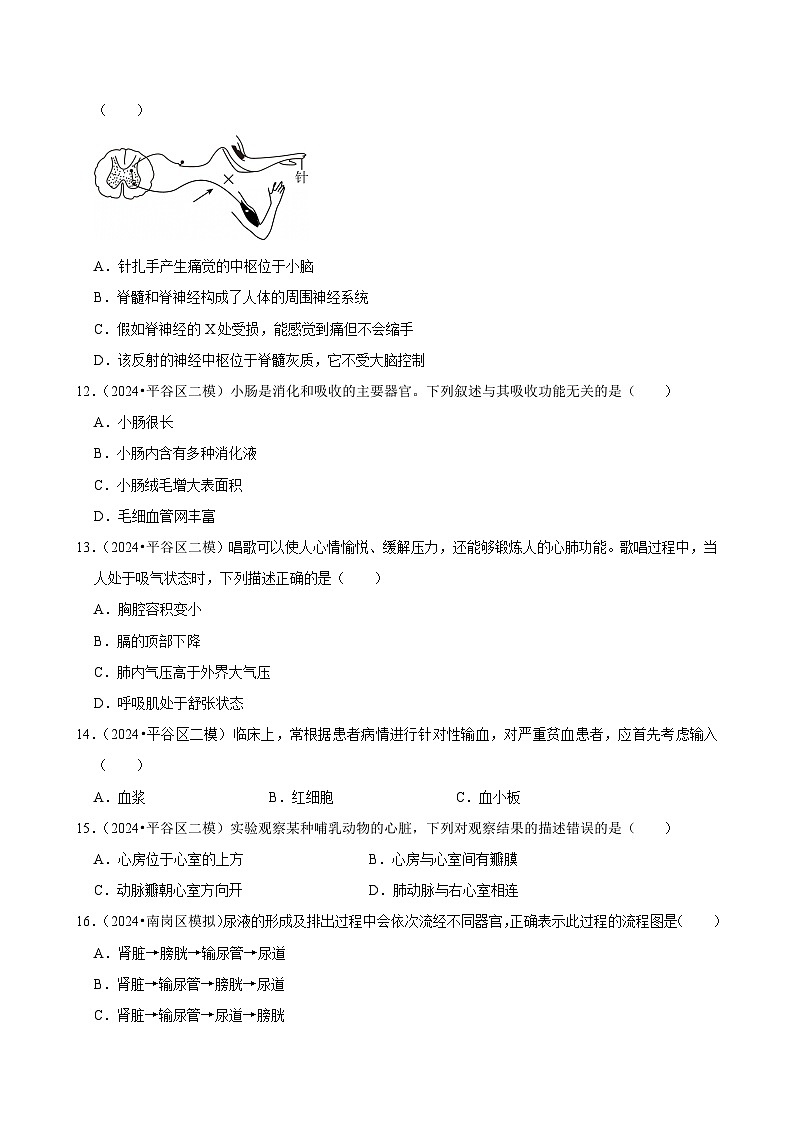 2025年中考生物三轮复习：人体生理与健康（二） 考点刷题练习题（含答案解析）第3页