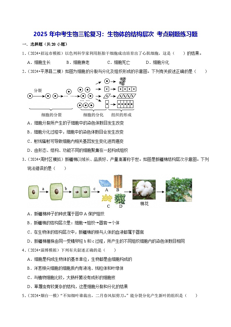 2025年中考生物三轮复习：生物体的结构层次 考点刷题练习题（含答案解析）第1页