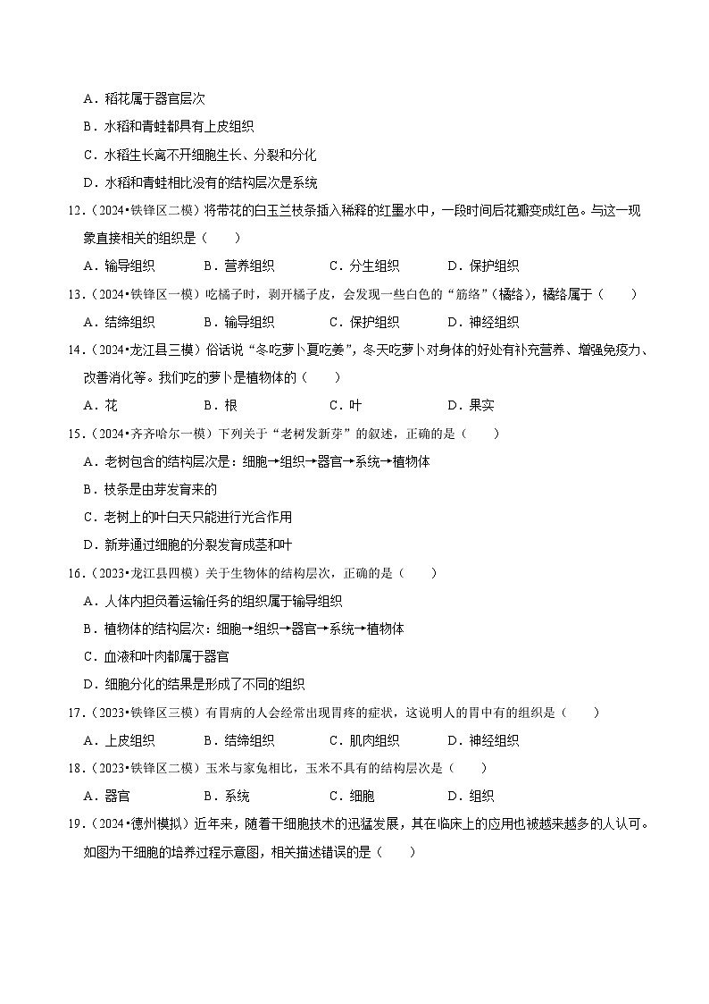 2025年中考生物三轮复习：生物体的结构层次 考点刷题练习题（含答案解析）第3页