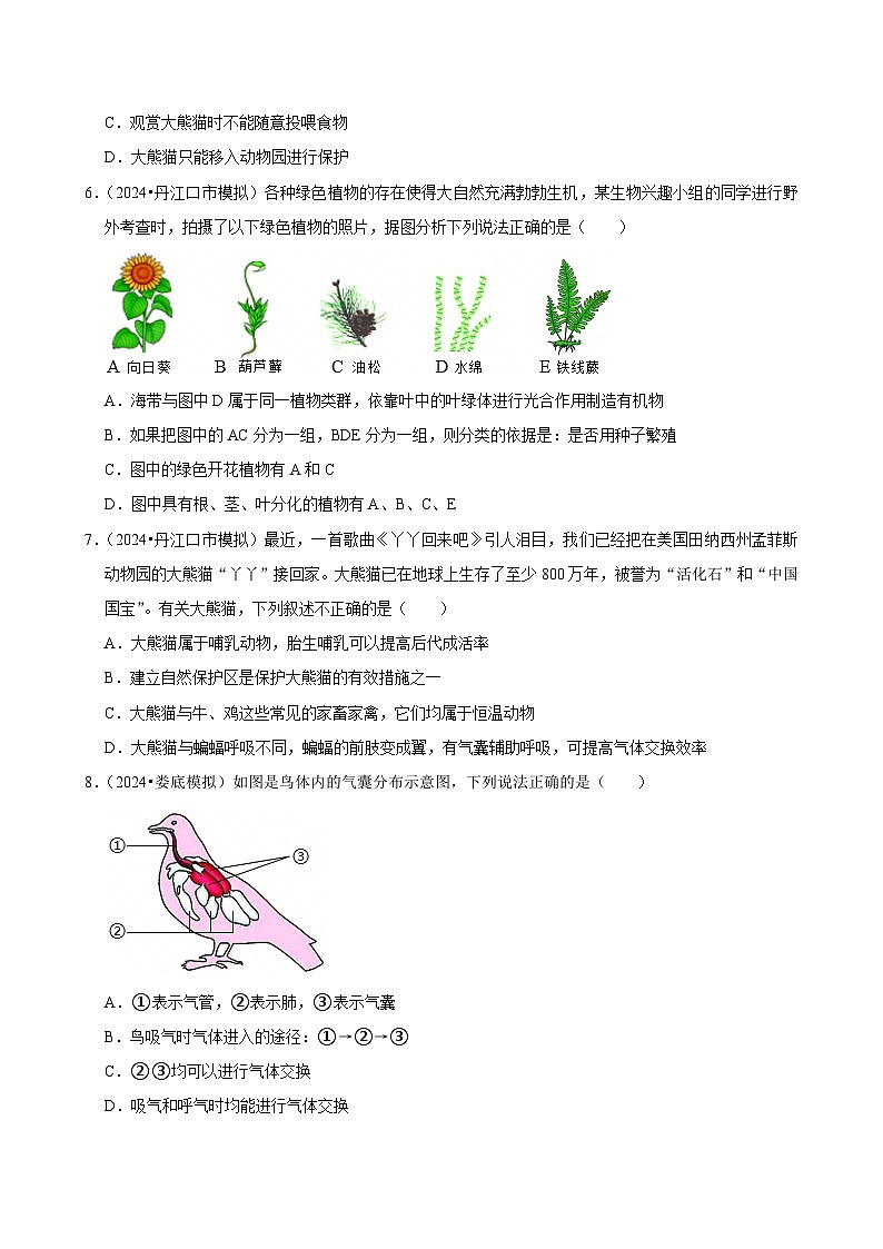 2025年中考生物三轮复习：生物多样性 考点刷题练习题（含答案解析）第2页
