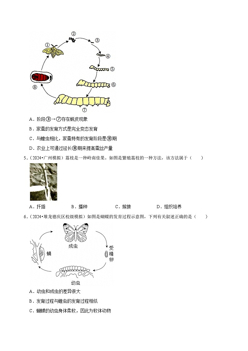2025年中考生物三轮复习：生物的生殖和发育 考点刷题练习题（含答案解析）第2页