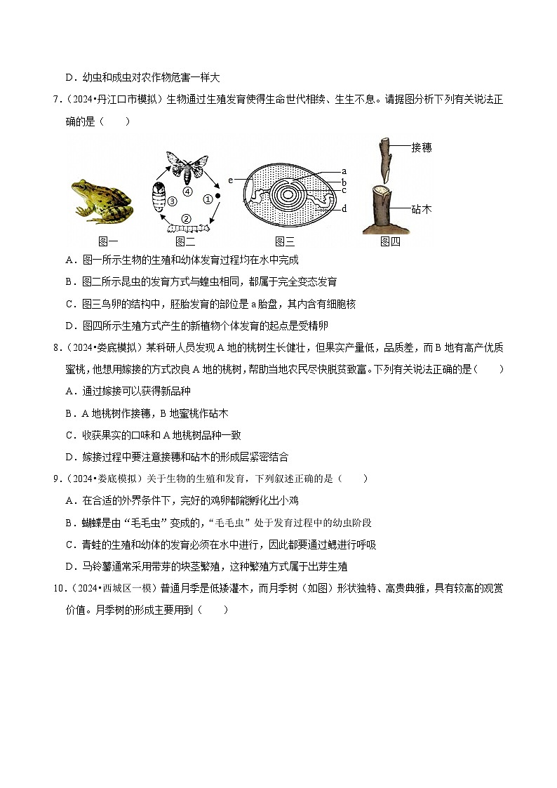 2025年中考生物三轮复习：生物的生殖和发育 考点刷题练习题（含答案解析）第3页