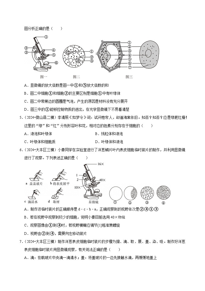 2025年中考生物三轮复习：细胞 考点刷题练习题（含答案解析）第2页
