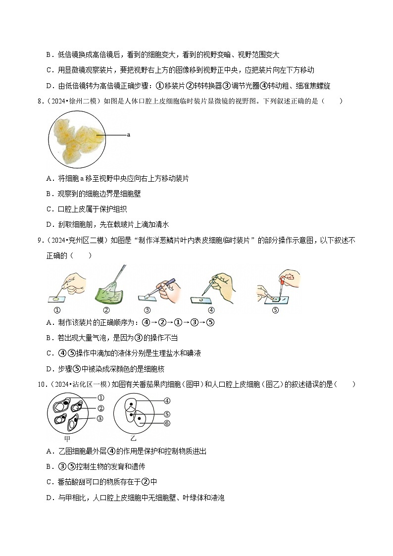 2025年中考生物三轮复习：细胞 考点刷题练习题（含答案解析）第3页