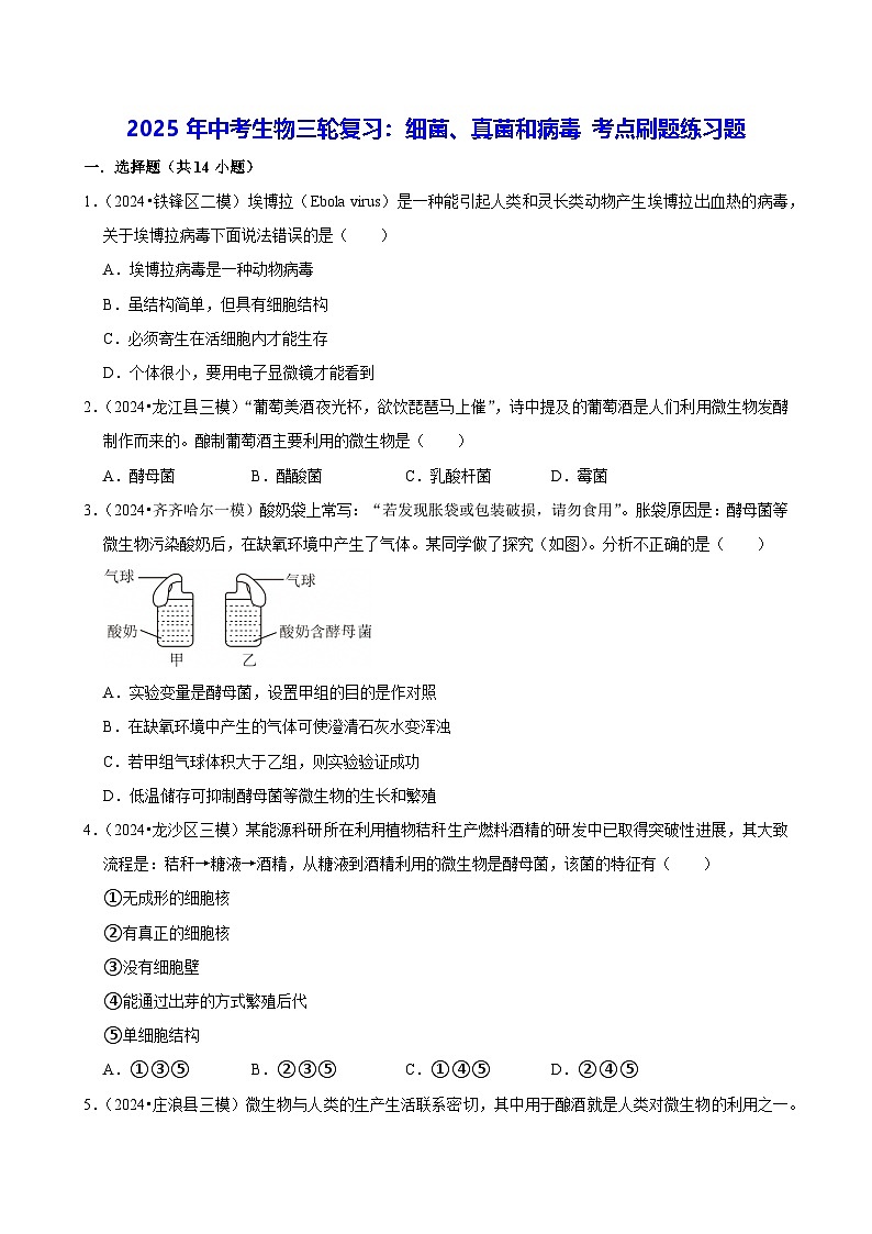 2025年中考生物三轮复习：细菌、真菌和病毒 考点刷题练习题（含答案解析）第1页