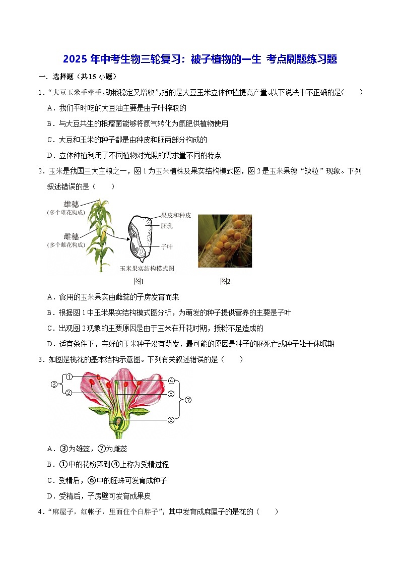 2025年中考生物三轮复习：被子植物的一生 考点刷题练习题（含答案解析）第1页