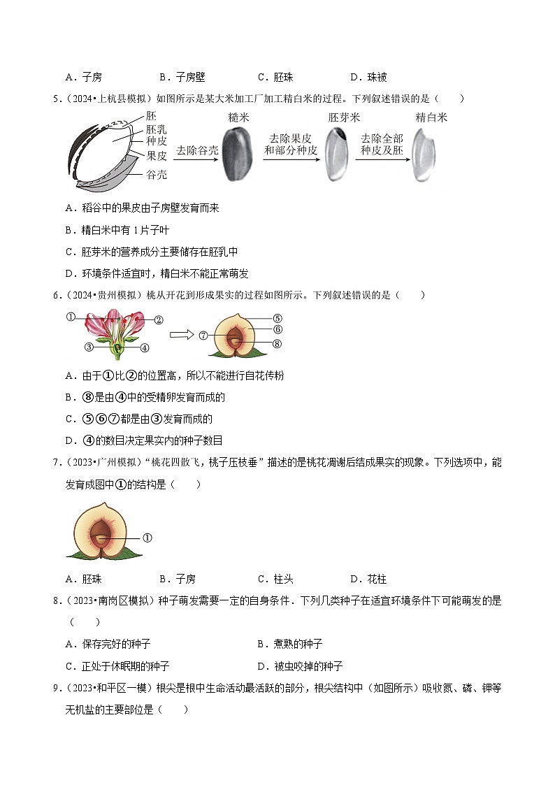 2025年中考生物三轮复习：被子植物的一生 考点刷题练习题（含答案解析）第2页