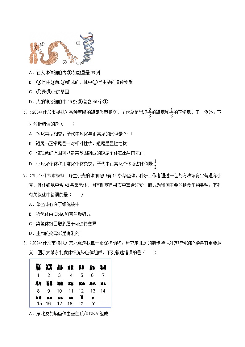 2025年中考生物三轮复习：遗传与变异 考点刷题练习题（含答案解析）第2页